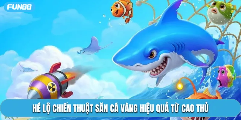 Hé lộ chiến thuật săn cá vàng hiệu quả từ cao thủ