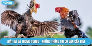 Luật Đá Gà Thomo Fun88 – Những Thông Tin Cơ Bản Cần Biết